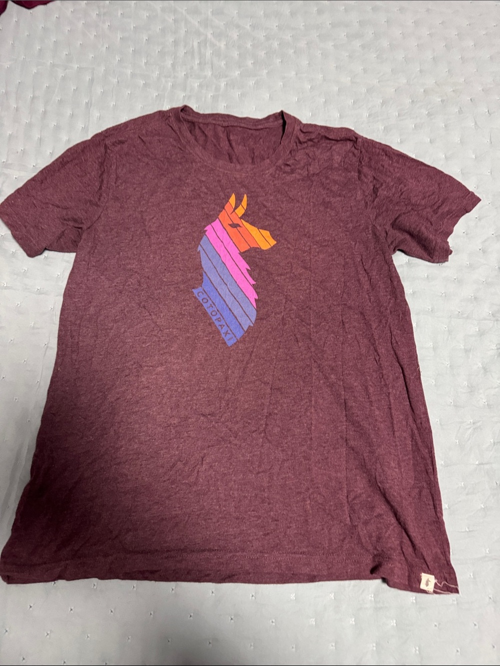 cotopaxi Burgundy Short Sleeve Tee with Multicolor Striped Llama Graphic